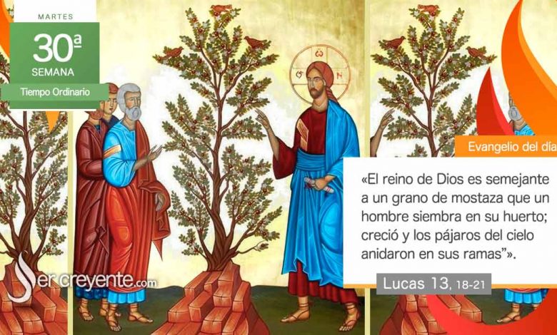 Photo of Evangelio del día 29 octubre 2024 (El reino es semejante a un grano de mostaza)