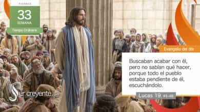 Photo of Evangelio del día 24 noviembre 2023 (Jesús echó a los vendedores del templo)