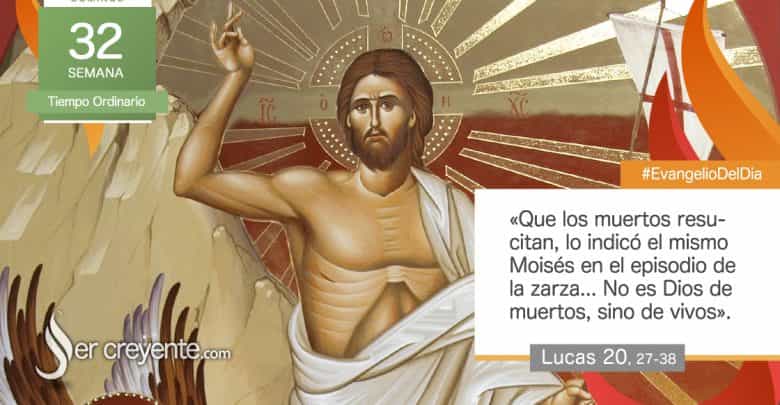 Photo of Evangelio del día 6 noviembre 2022 (No es Dios de muertos, sino de vivos)