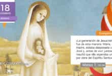 Photo of Evangelio del día 18 diciembre 2023 (María esperaba un hijo por obra del Espíritu Santo)