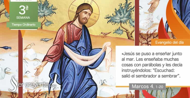 Photo of Evangelio del día 28 enero 2026 (Salió el sembrador a sembrar)
