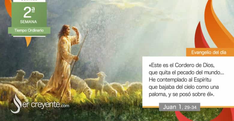 Photo of Evangelio del día 18 enero 2026 (Este es el Cordero de Dios, que quita el pecado del mundo)