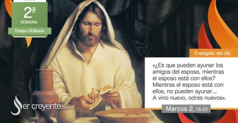 Photo of Evangelio del día 19 enero 2026 (A vino nuevo, odres nuevos)