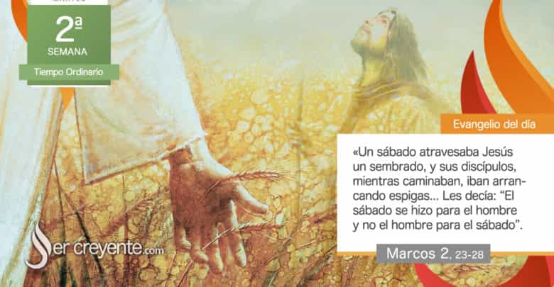 Photo of Evangelio del día 20 enero 2026 (El sábado se hizo para el hombre)