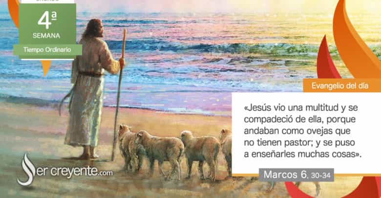 Photo of Evangelio del día 7 febrero 2026 (Venid a solas a un lugar desierto)