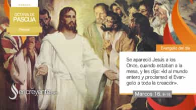 Photo of Evangelio del día 23 abril 2022 (Se apareció Jesús a los Once)