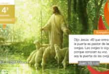Photo of Evangelio de día 30 abril 2023 (Las ovejas atienden a su voz)