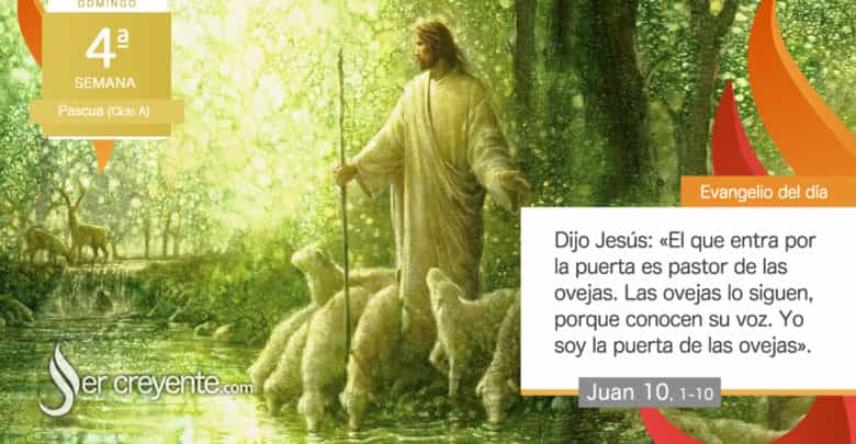 Photo of Evangelio de día 26 abril 2026 (Las ovejas atienden a su voz)