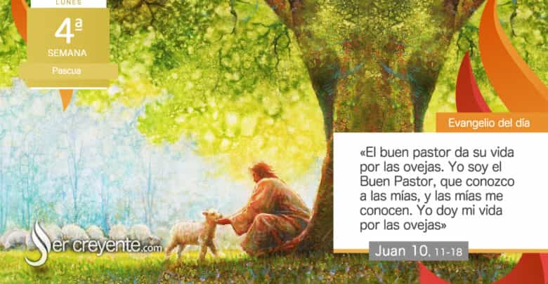 Photo of Evangelio del día 27 abril 2026 (El buen pastor da su vida por las ovejas)