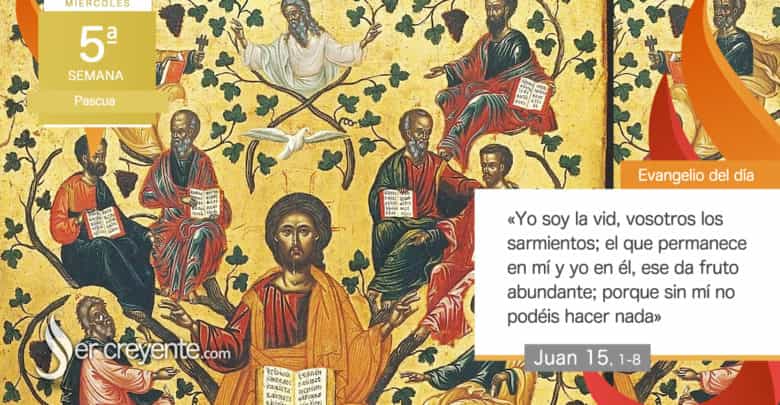 Photo of Evangelio del día 6 mayo 2026 (Yo soy la verdadera vid)
