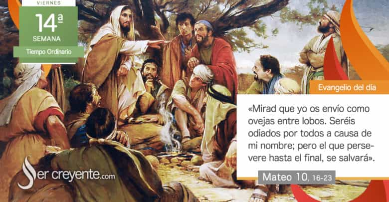 Photo of Evangelio del día 11 julio 2025 (Os envío como ovejas entre lobos)