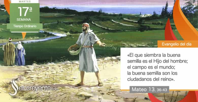 Photo of Evangelio del día 30 julio 2024 (La buena semilla son los ciudadanos del reino)