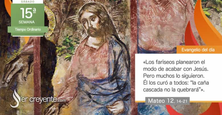 Photo of Evangelio del día 19 julio 2025 (Jesús los curó a todos)