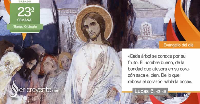 Photo of Evangelio del día 13 septiembre 2025 (De lo que rebosa el corazón, habla la boca)