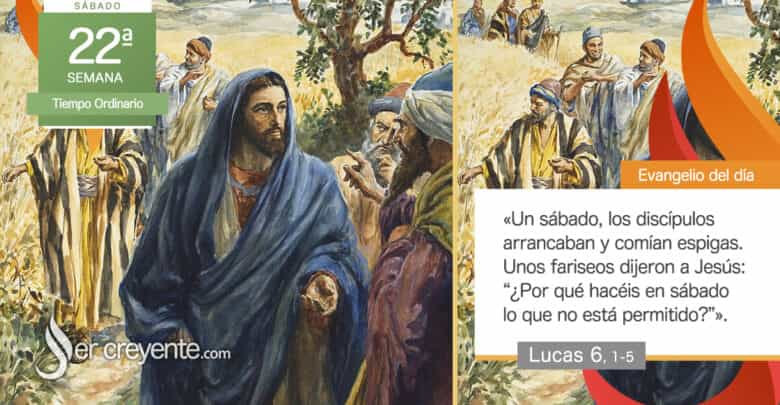 Photo of Evangelio del día 6 septiembre 2025 (El Hijo del hombre es señor del sábado)