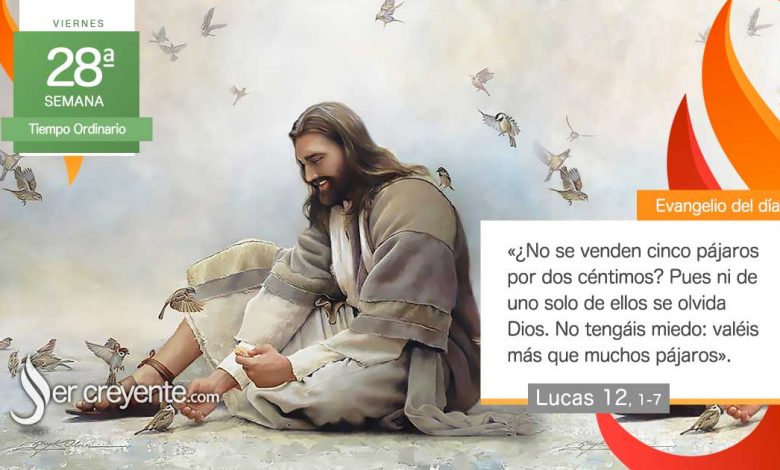 Photo of Evangelio del día 17 octubre 2025 (No tengáis miedo: valéis más que muchos pájaros)