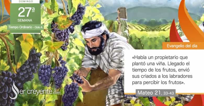 Photo of Evangelio del día 8 octubre 2023 (Un propietario plantó una viña)