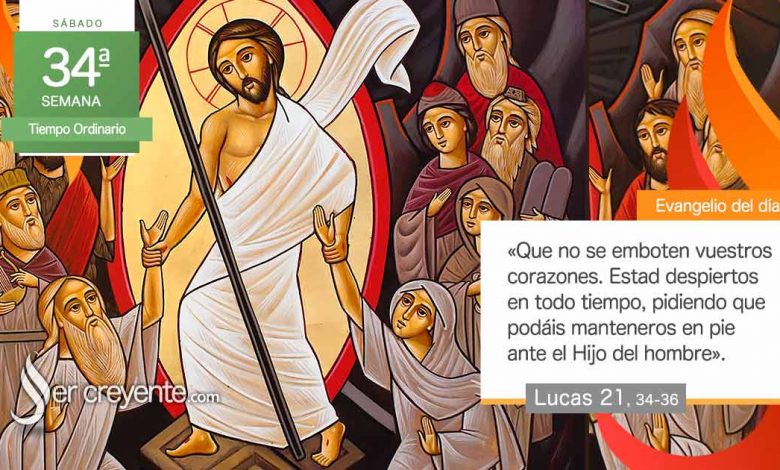 Photo of Evangelio del día 29 noviembre 2025 (Estad despiertos en todo tiempo)