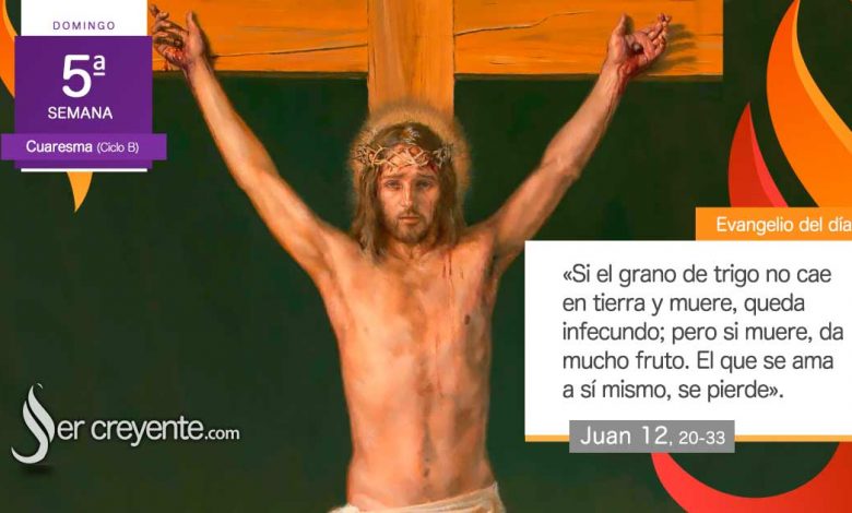 Photo of Evangelio del día 17 marzo 2024 (Si el grano de trigo muere, da mucho fruto)