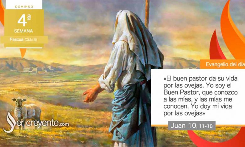 Photo of Evangelio del día 21 abril 2024 (El buen pastor da su vida por las ovejas)