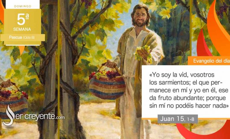 Photo of Evangelio del día 28 abril 2024 (Yo soy la vid, vosotros los sarmientos)