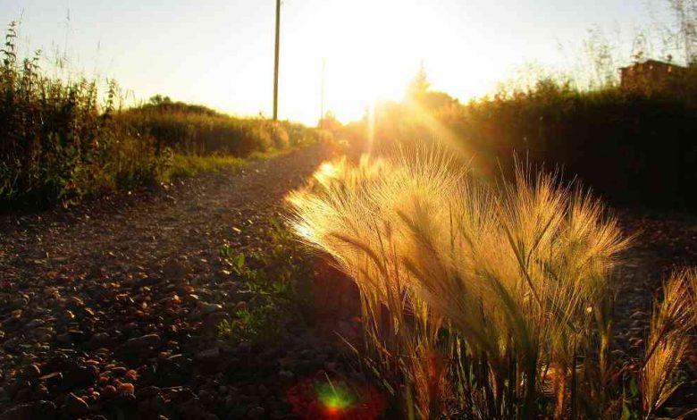 Photo of Abriendo caminos