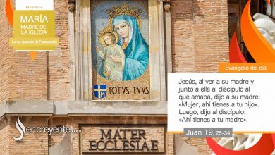 Photo of Evangelio del día 29 mayo 2023 (María, Madre de la Iglesia)