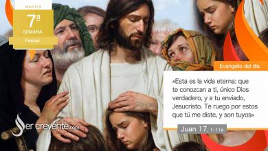 Photo of Evangelio del día 19 mayo 2026 (Padre, te ruego por ellos)
