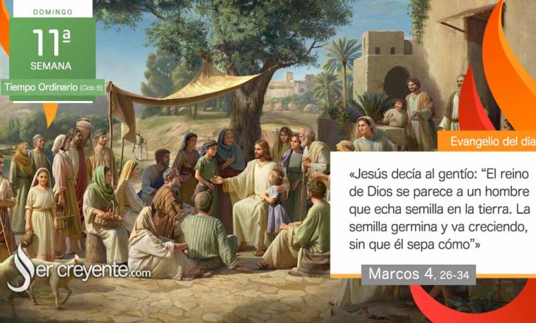 Photo of Evangelio del día 16 junio 2024 (La semilla germina y va creciendo)