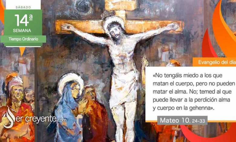 Photo of Evangelio del día 12 julio 2025 (No tengáis miedo)