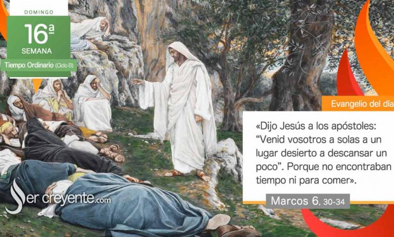 Photo of Evangelio del día 21 julio 2024 (Venid vosotros a solas a descansar)