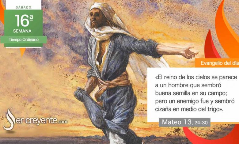Photo of Evangelio del día 26 julio 2025 (Cuando se formaba la espiga, apareció también la cizaña)