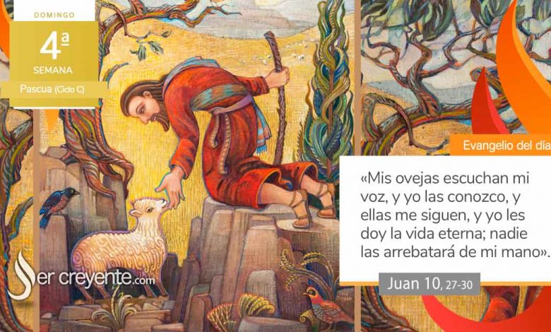 Photo of Evangelio del día 11 mayo 2025 (Mis ovejas escuchan mi voz)