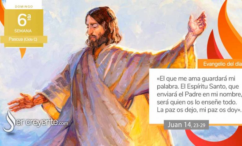 Photo of Evangelio del día 25 mayo 2025 (Vendremos a él y haremos morada en él)
